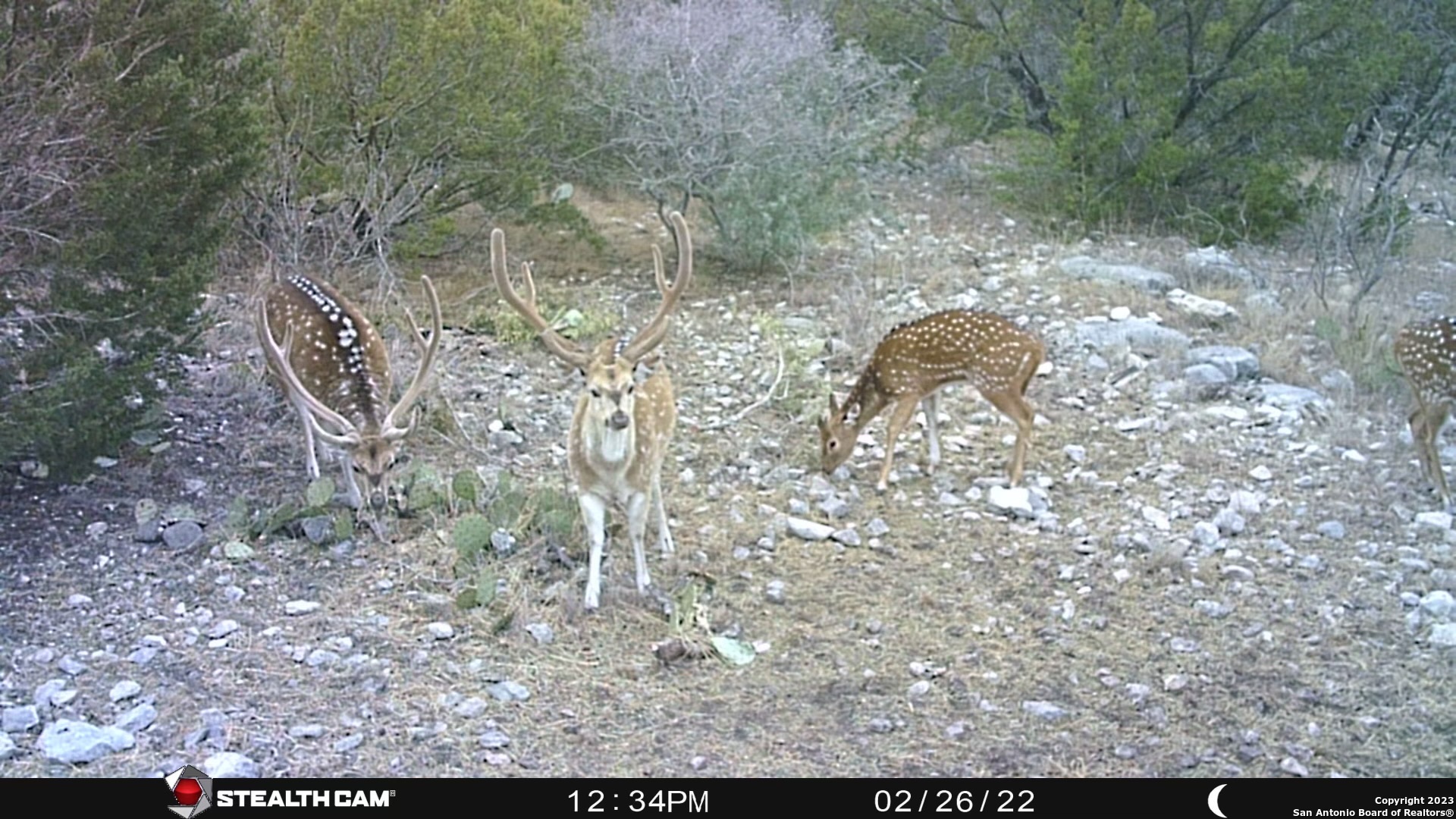 29 Oak Bend Rocksprings, TX 78880 - Photo 26 of 27 a aerial view of a yard