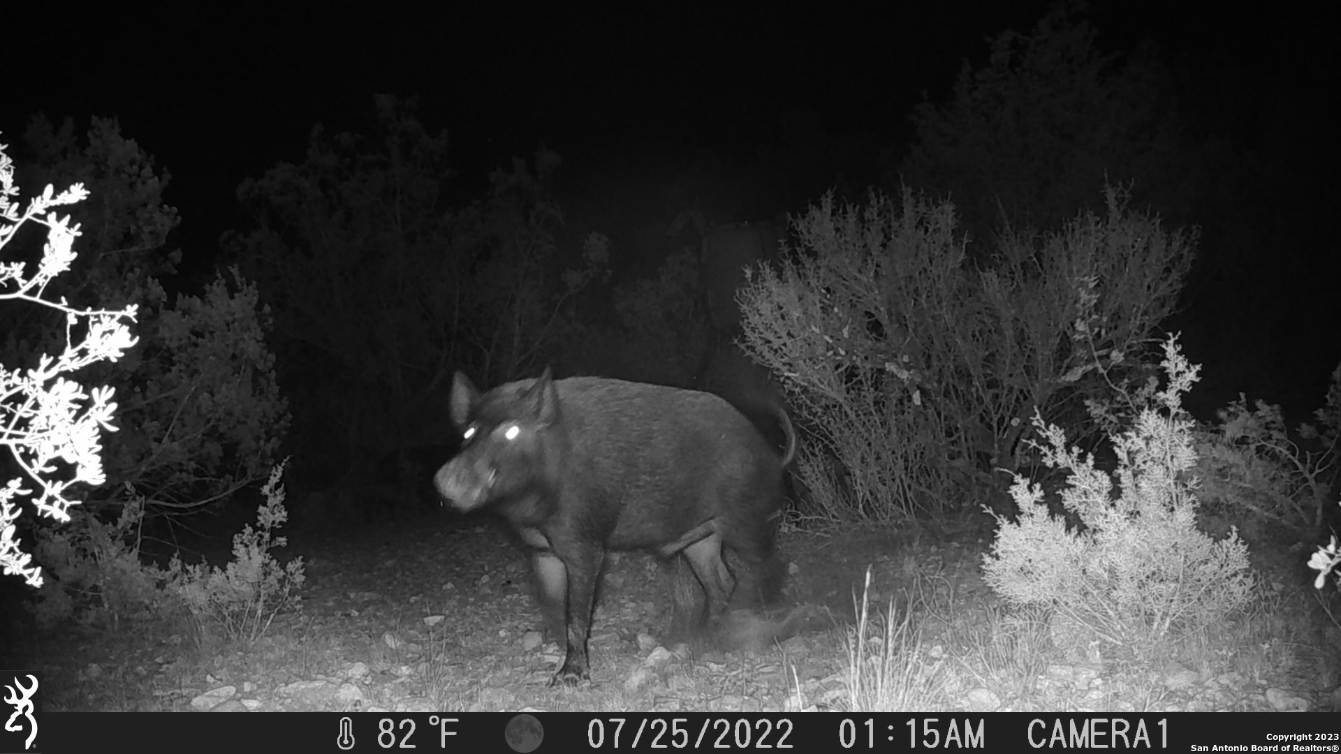 29 Oak Bend Rocksprings, TX 78880 - Photo 27 of 27 a view of a yard