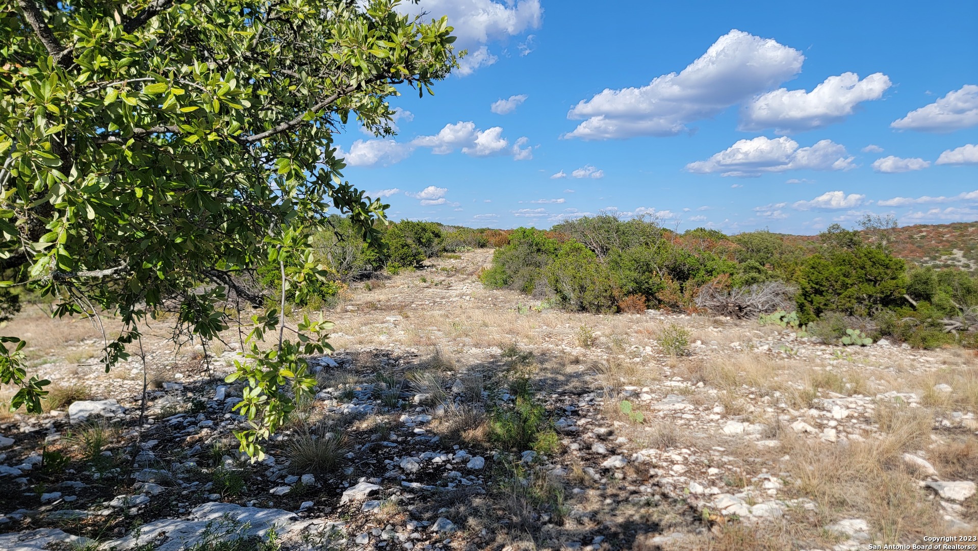 29 Oak Bend Rocksprings, TX 78880 - Photo 7 of 27 a view of a bunch of trees