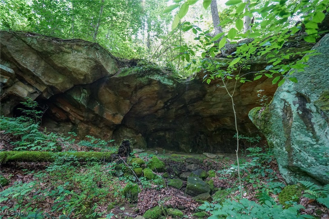 34799 Paw Road Lower Salem, OH 45745 - Photo 21 of 50 View of local wilderness