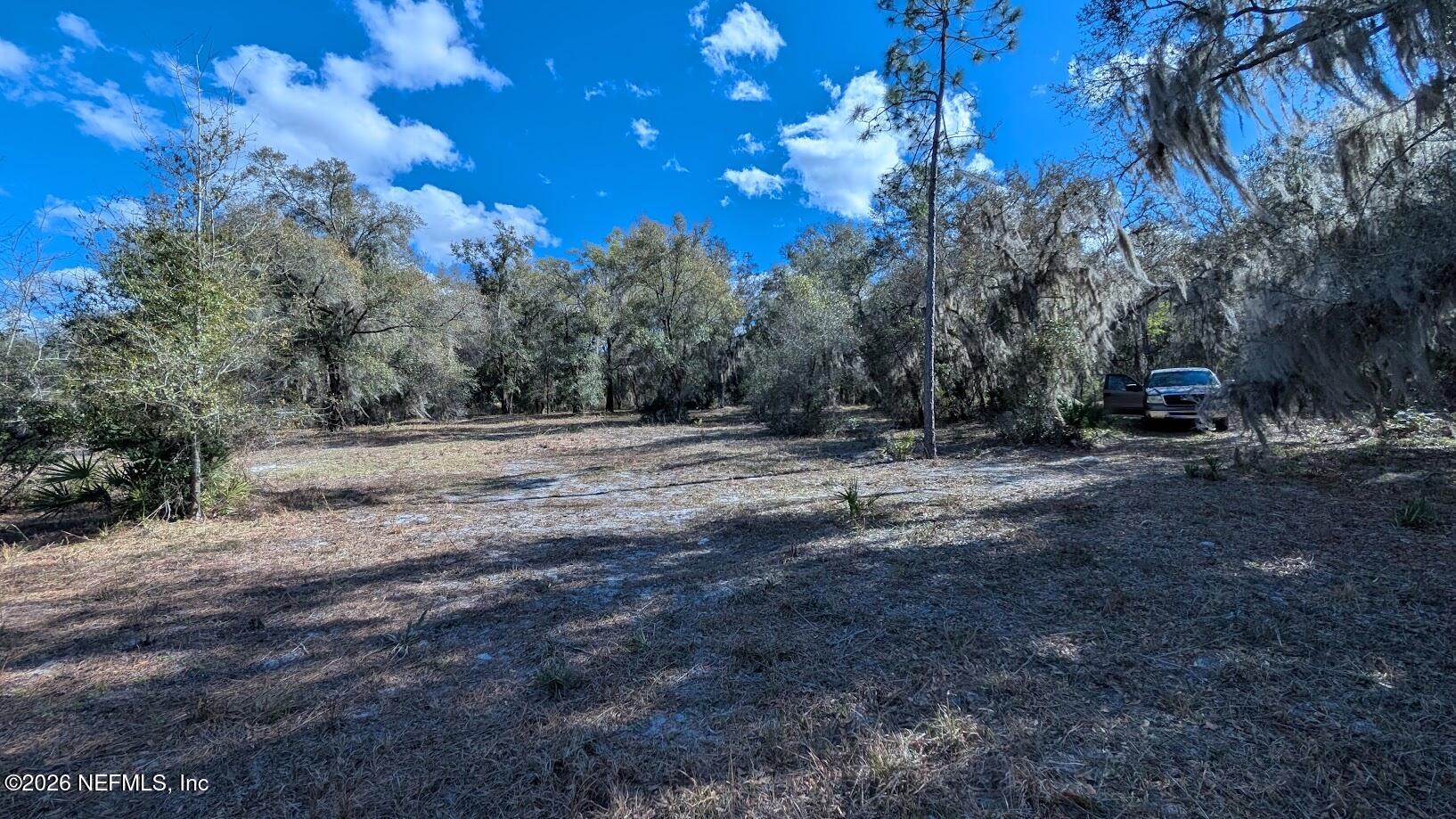 0 Harris Fish Camp Road Crescent City, FL 32112 - Photo 8 of 13 8 Nice place to build