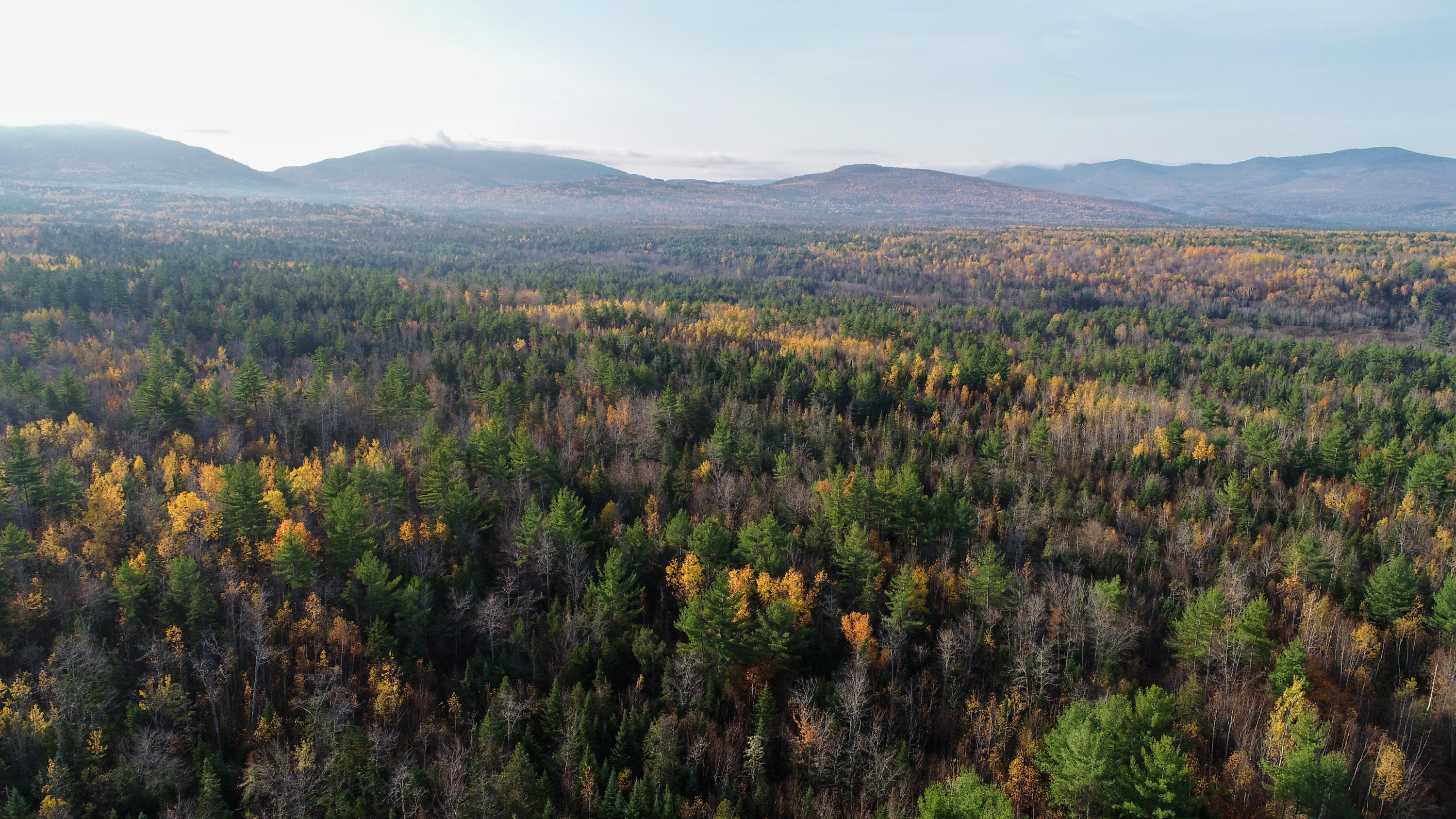Tdb Roxbury Notch Road Roxbury, ME 04275 - Photo 13 of 29 DJI_0069