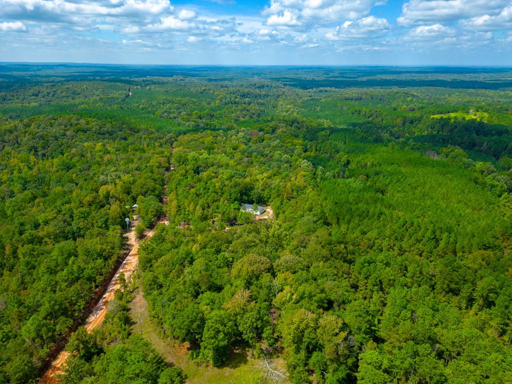 8535 Mathis Store Road Richland, GA 31825 - Photo 36 of 47 Looking SW down Mathis Store Rd