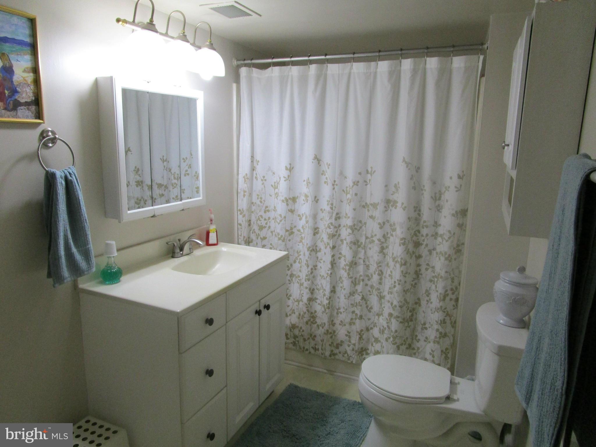 13034 Harford Road Hydes, MD 21082 - Photo 17 of 29 Bath