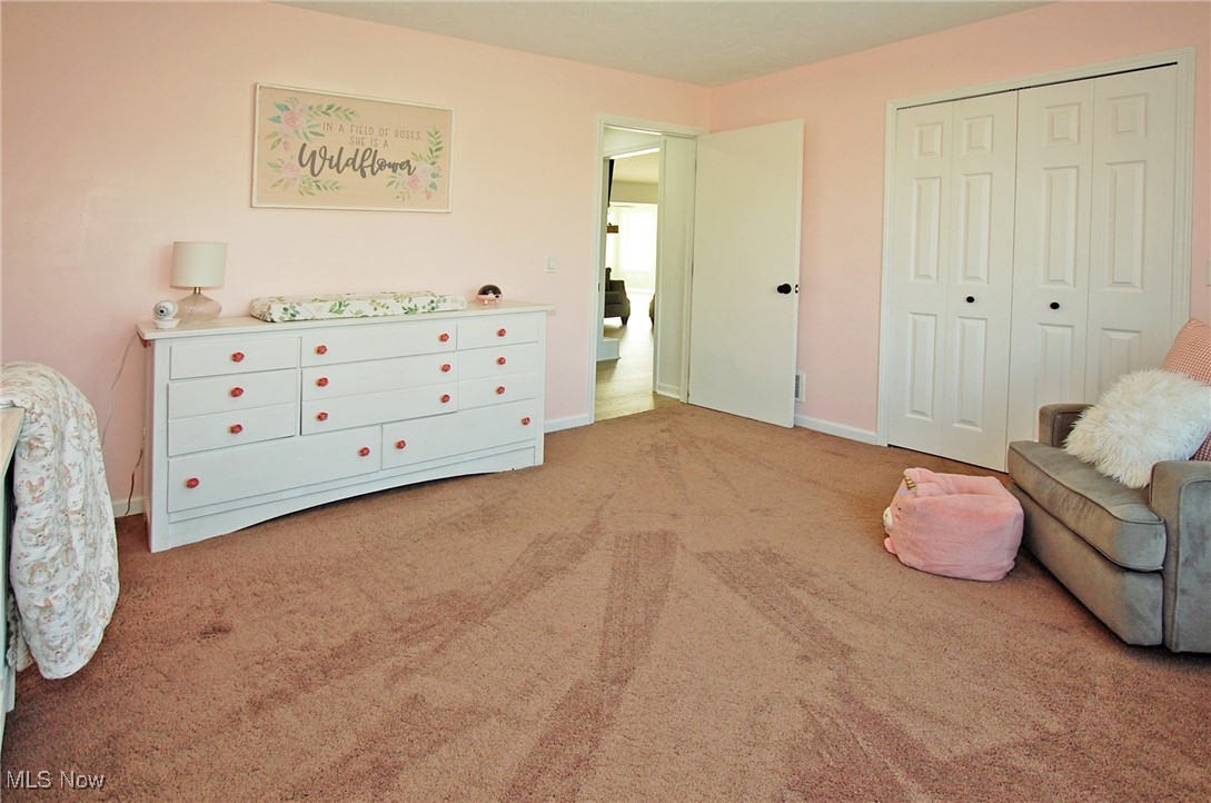 26875 W Road Wellington, OH 44090 - Photo 15 of 26 Bedroom with light carpet and a closet