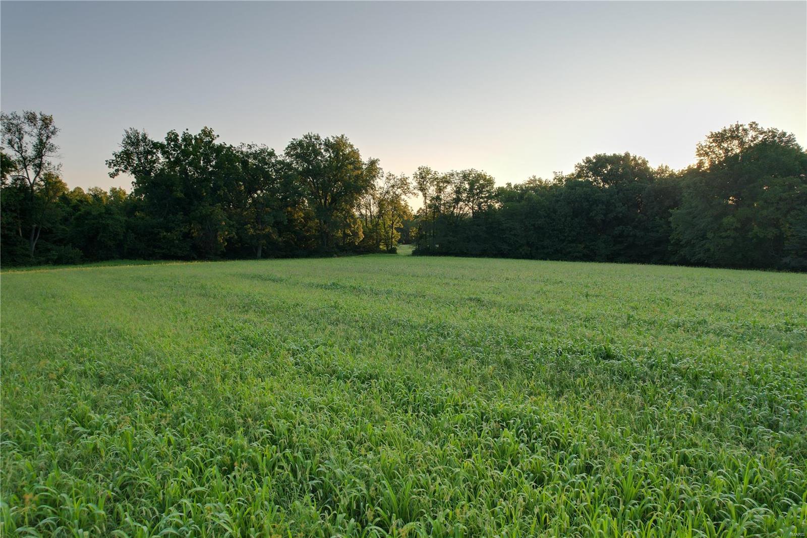 0 Cemetery Road Batchtown, IL 62006 - Photo 12 of 42 Gallery Image 12