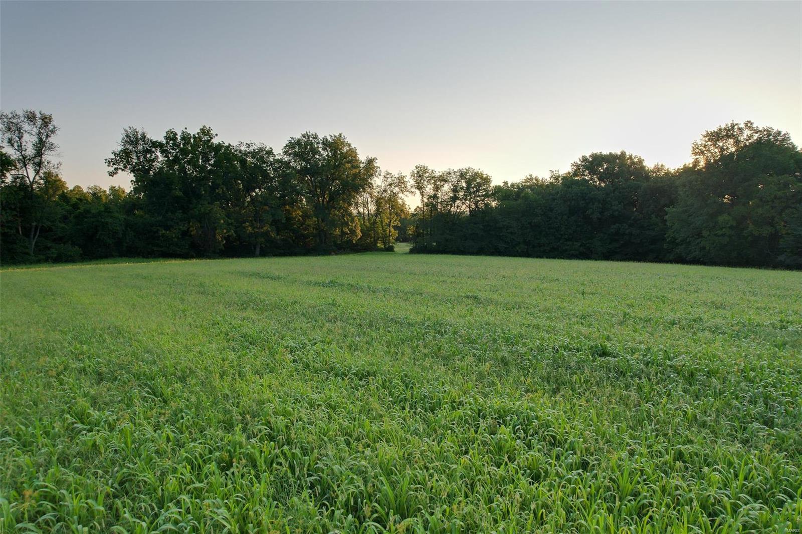 0 Cemetery Road Batchtown, IL 62006 - Photo 15 of 42 Gallery Image 15