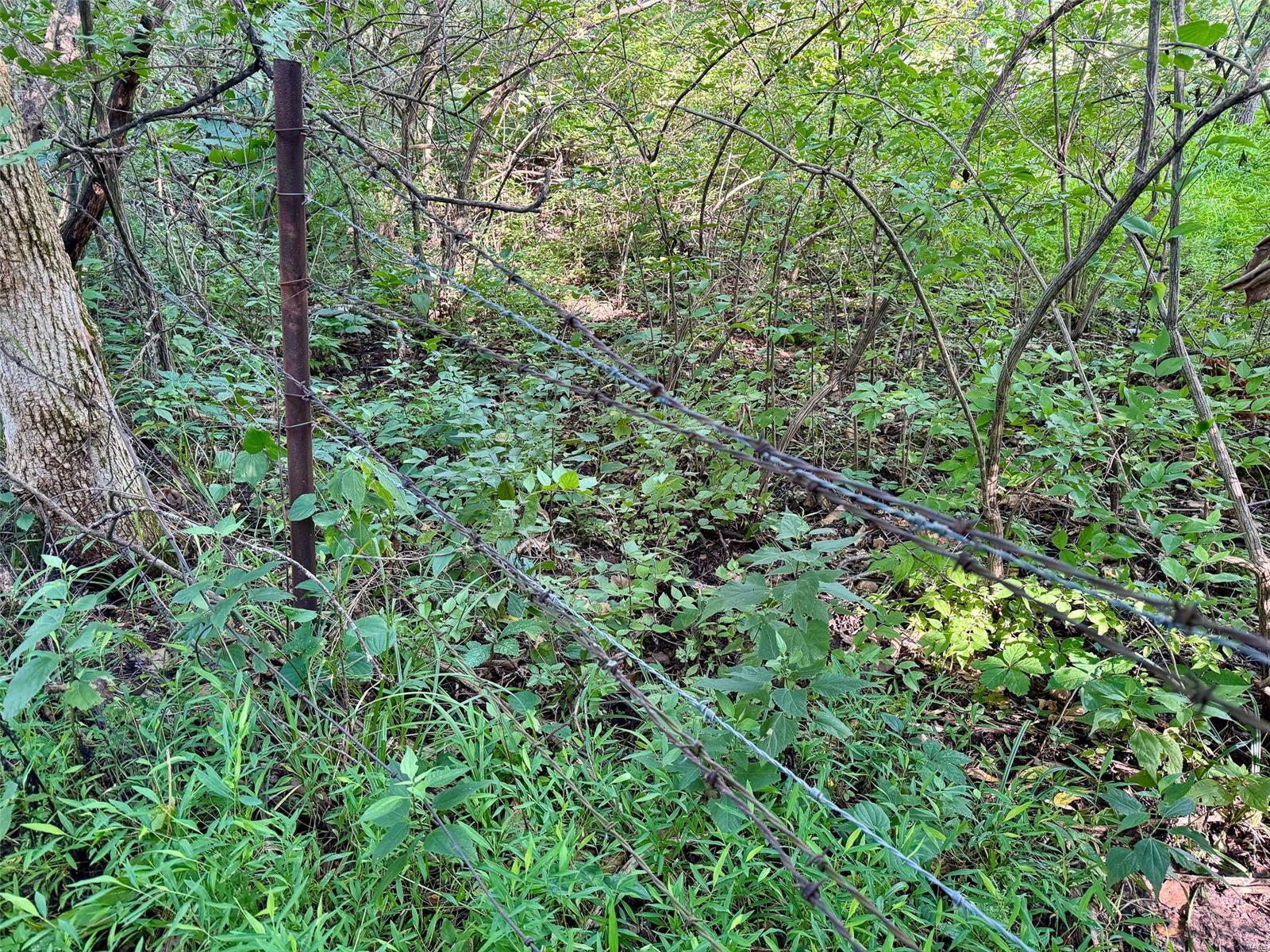 0 Cemetery Road Batchtown, IL 62006 - Photo 39 of 42 Gallery Image 39