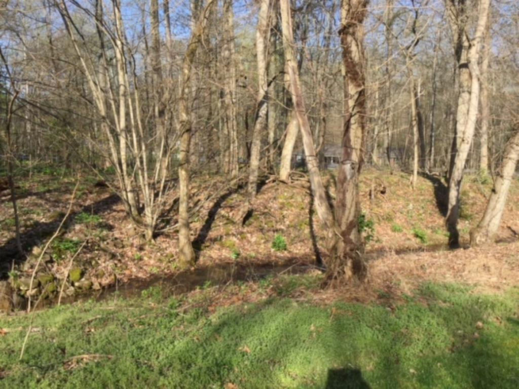 2138 David Miller Road Johnson City, TN 37604 - Photo 9 of 10 Photo 9
