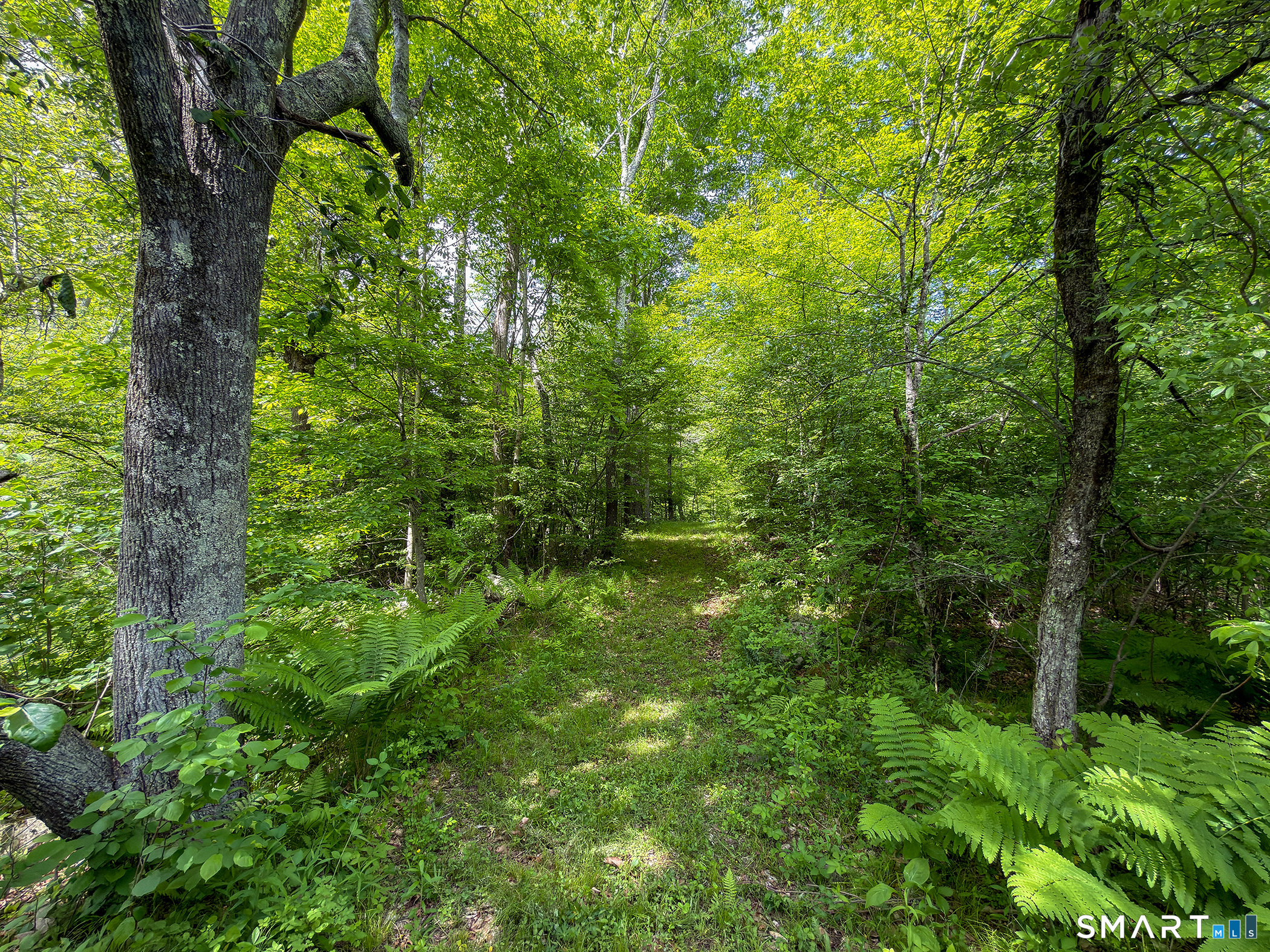 44 Keeler Road Sharon, CT 06069 - Photo 3 of 17