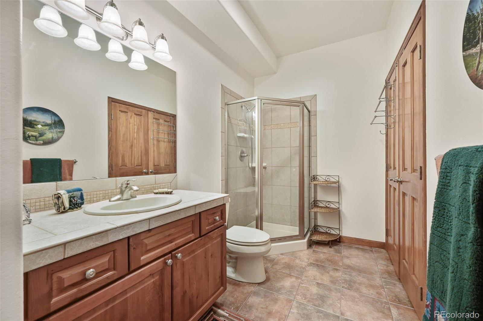 322 Sequoia Road Hartsel, CO 80449 - Photo 25 of 50 a bathroom with a sink a toilet and a mirror