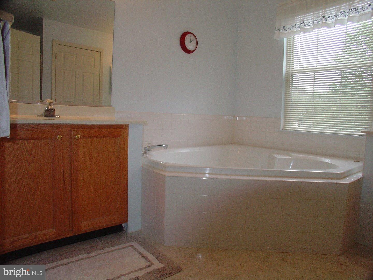 111 Coburn Road Pennington, NJ 08534 - Photo 20 of 25 Master Bathroom