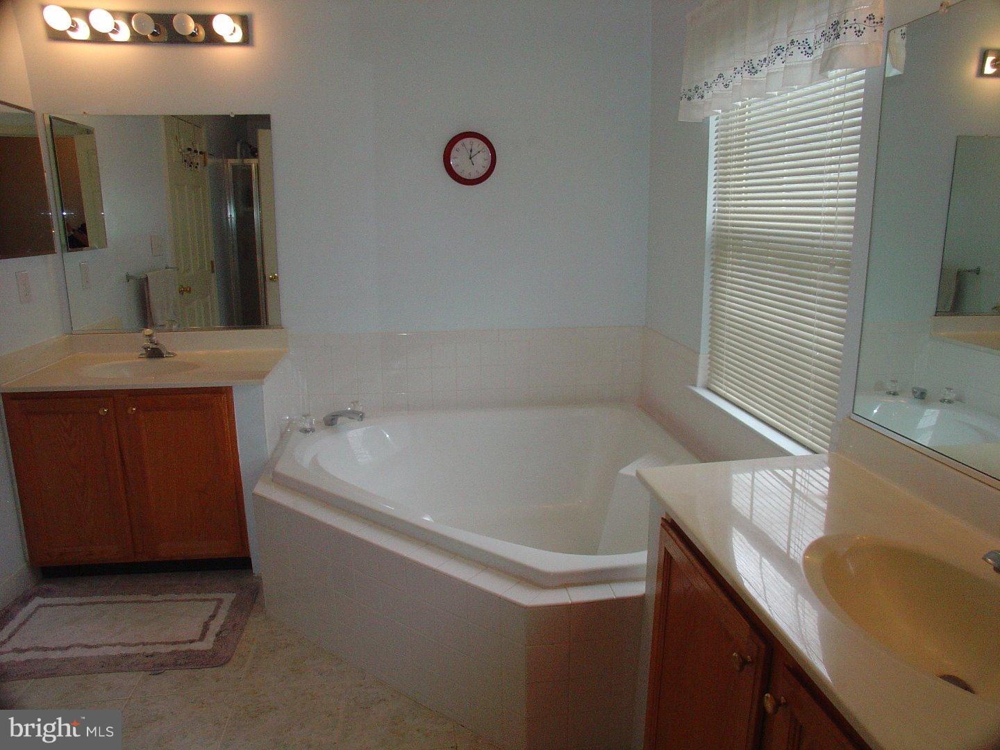 111 Coburn Road Pennington, NJ 08534 - Photo 21 of 25 Master Bathroom