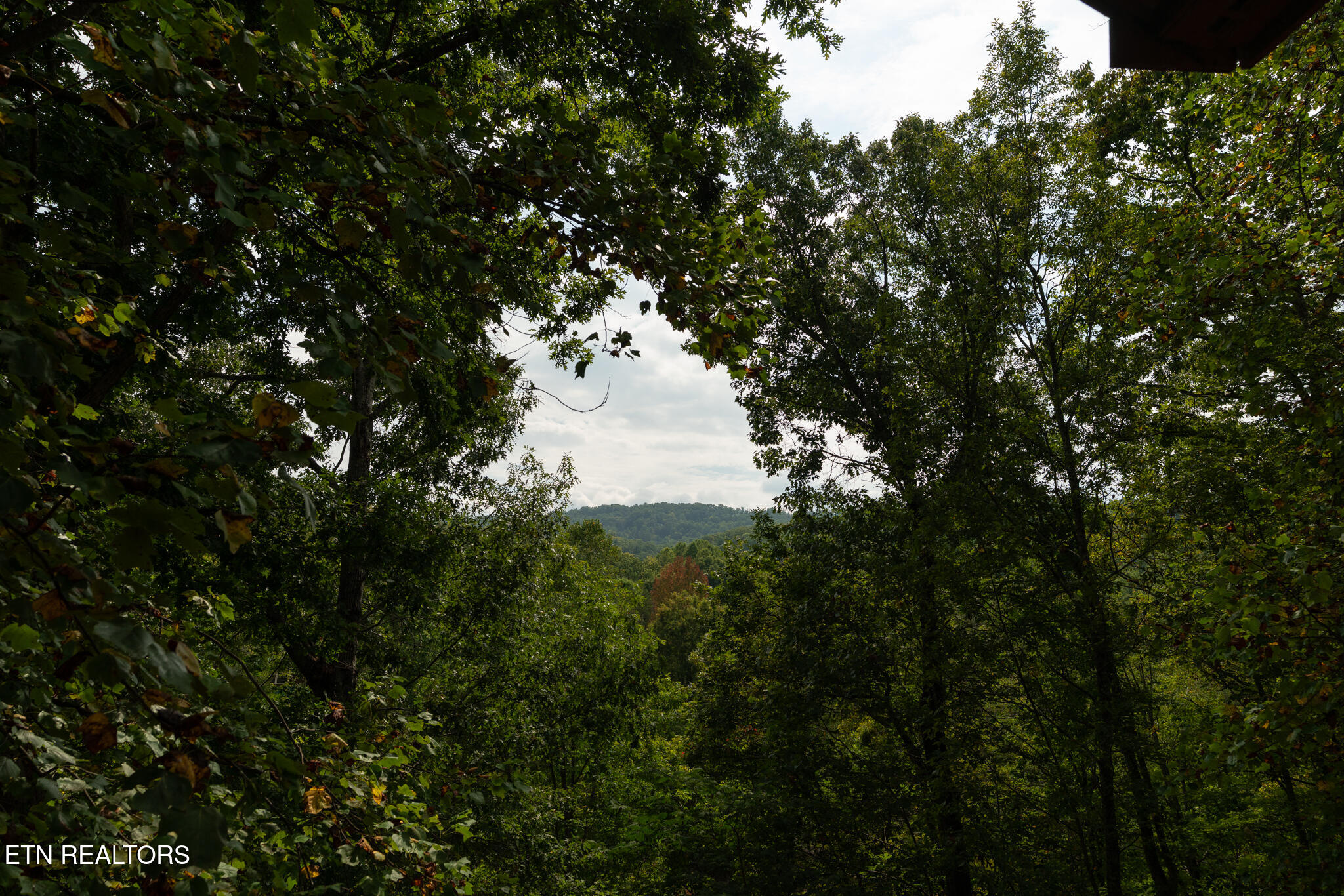 1316 Pine Trail Sevierville, TN 37876 - Photo 30 of 58 untitled-32