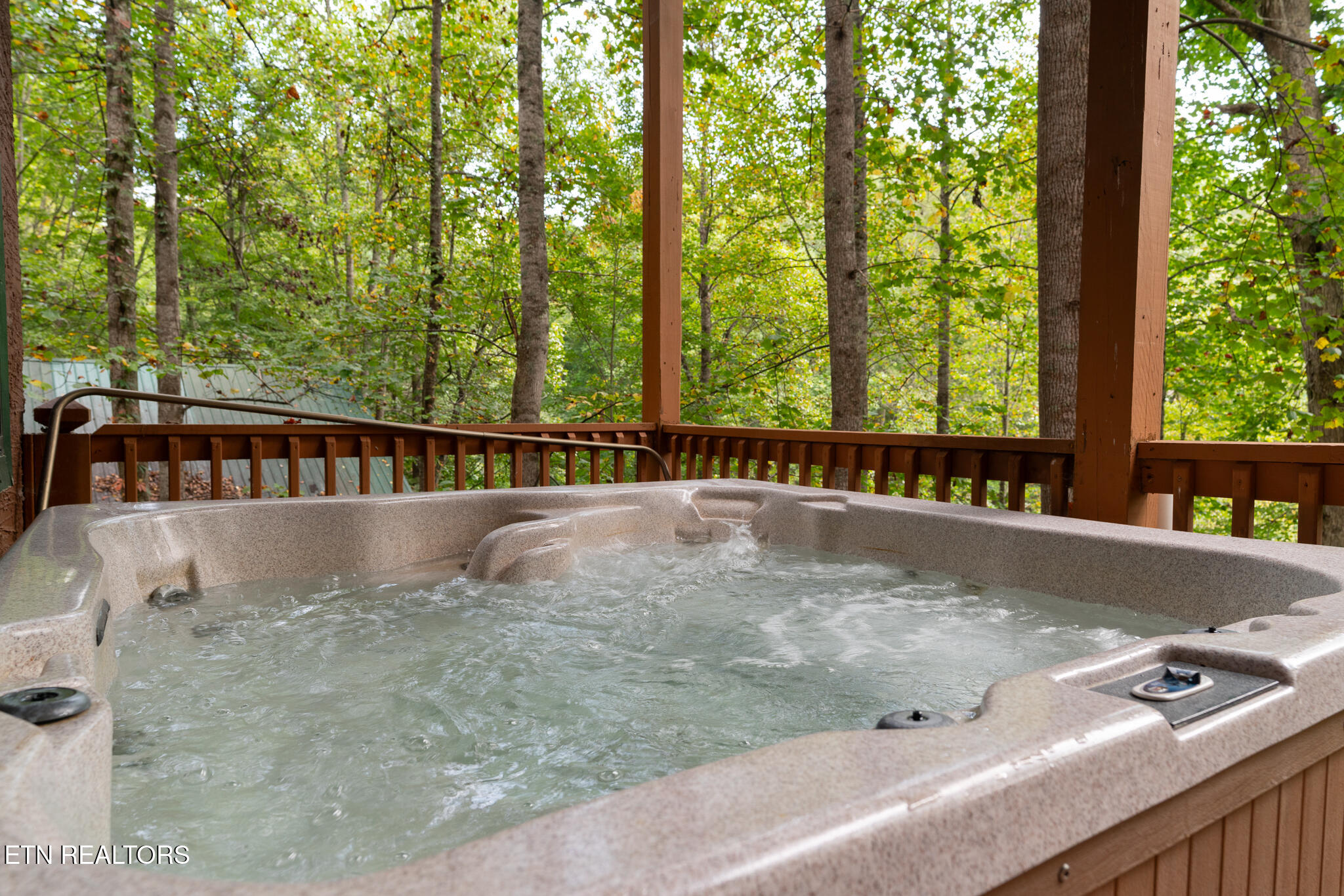 1316 Pine Trail Sevierville, TN 37876 - Photo 43 of 58 untitled-43