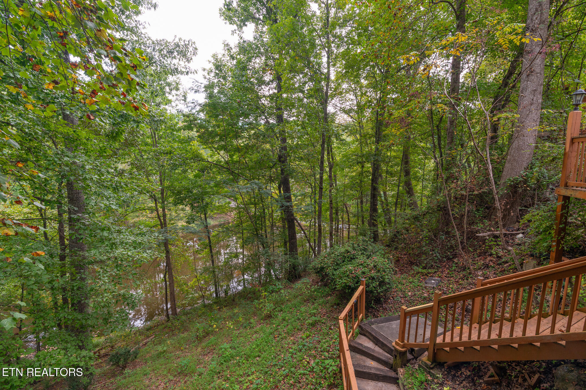 1316 Pine Trail Sevierville, TN 37876 - Photo 44 of 58 untitled-44