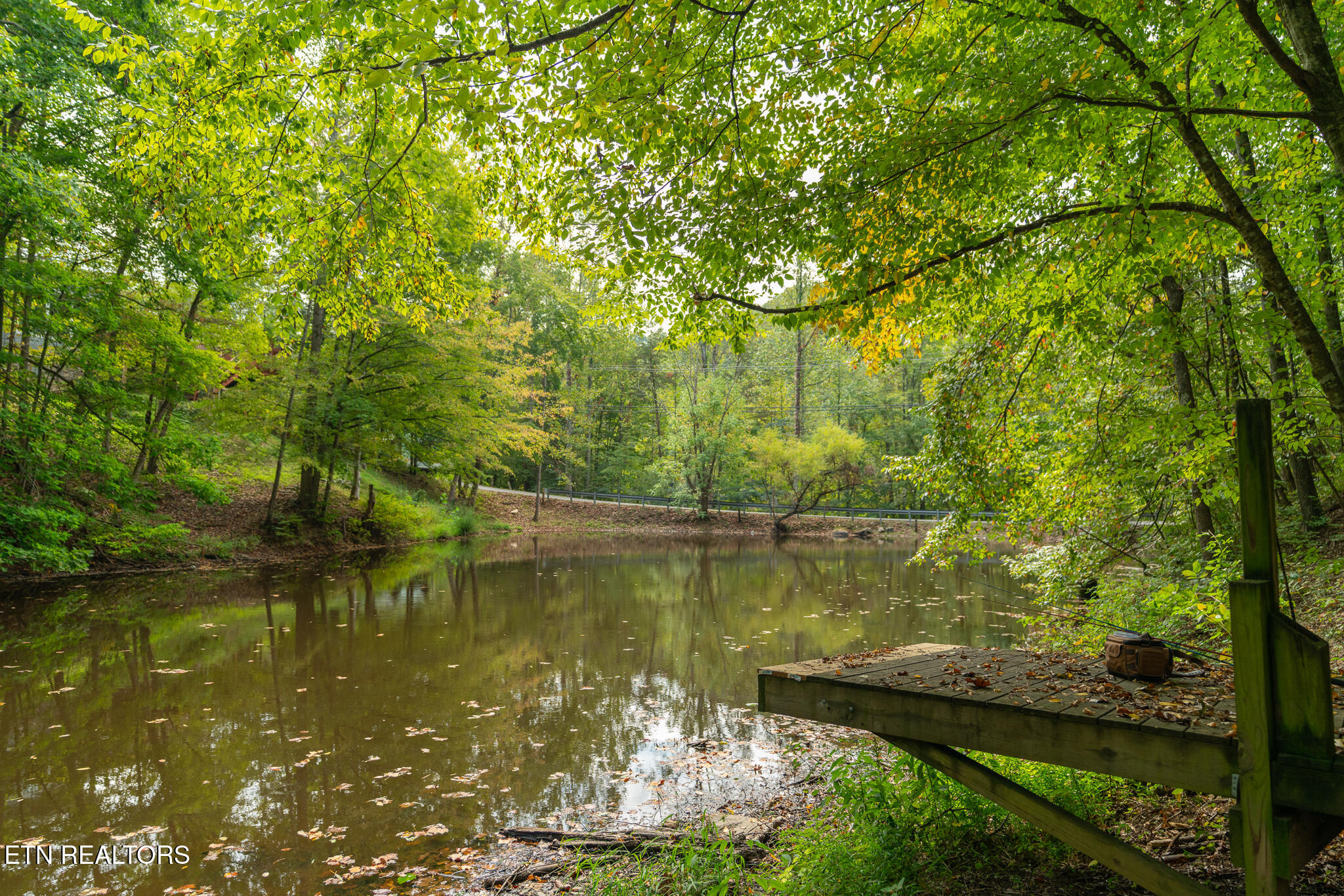 1316 Pine Trail Sevierville, TN 37876 - Photo 46 of 58 untitled-47