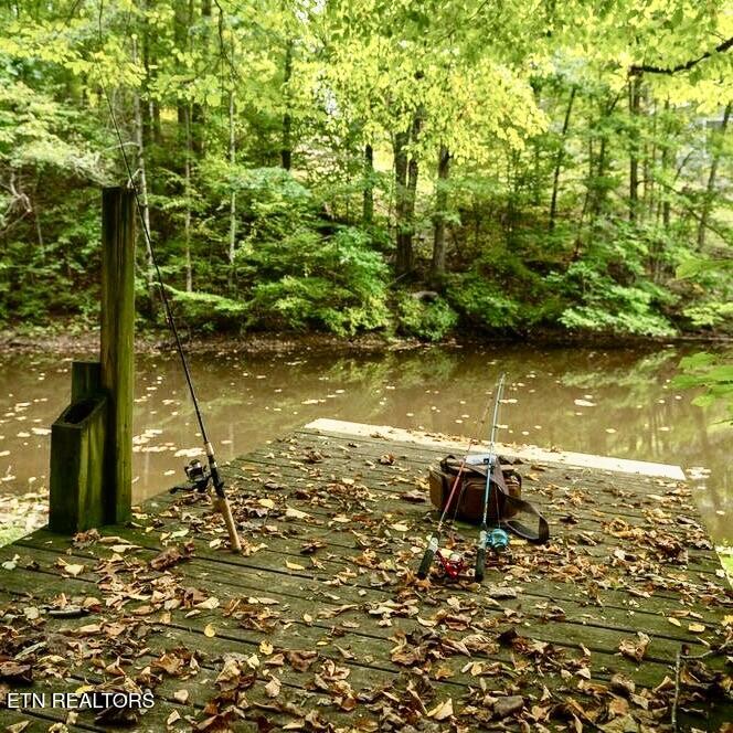 1316 Pine Trail Sevierville, TN 37876 - Photo 48 of 58 Image 4