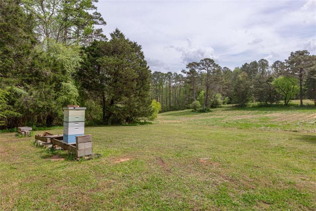 7350 Ono Road Palmetto, GA 30268 - Photo 74 of 91