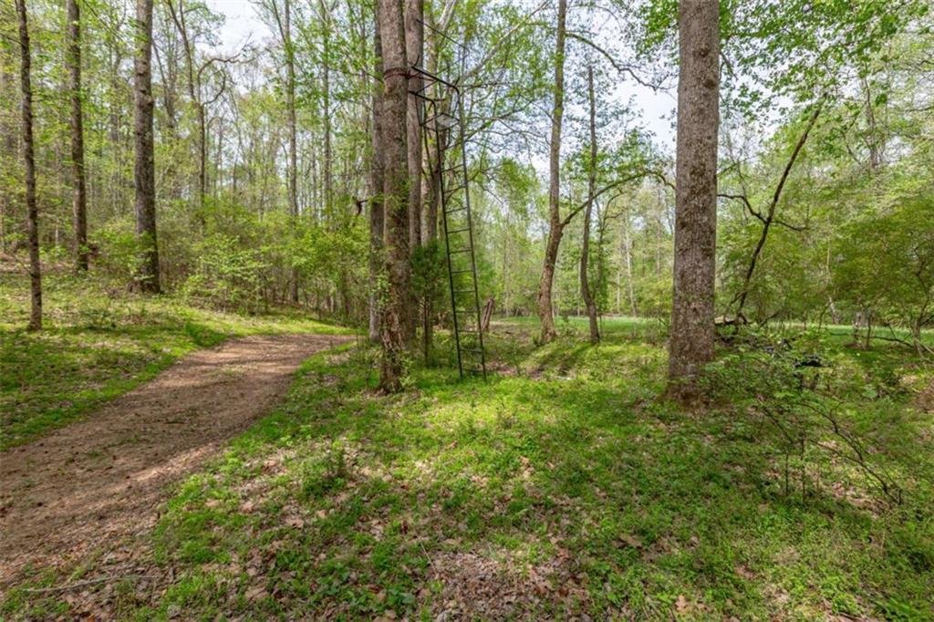7350 Ono Road Palmetto, GA 30268 - Photo 79 of 91