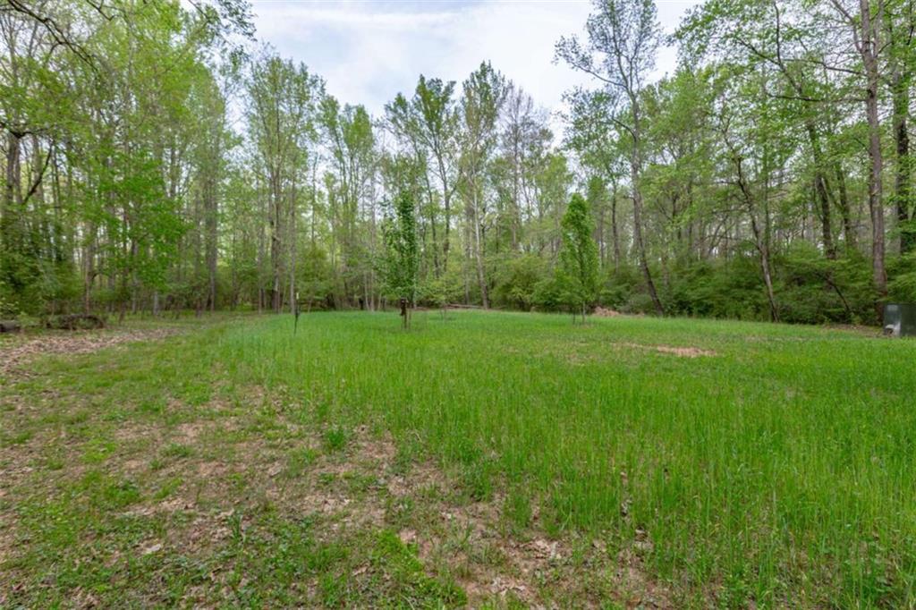 7350 Ono Road Palmetto, GA 30268 - Photo 80 of 91