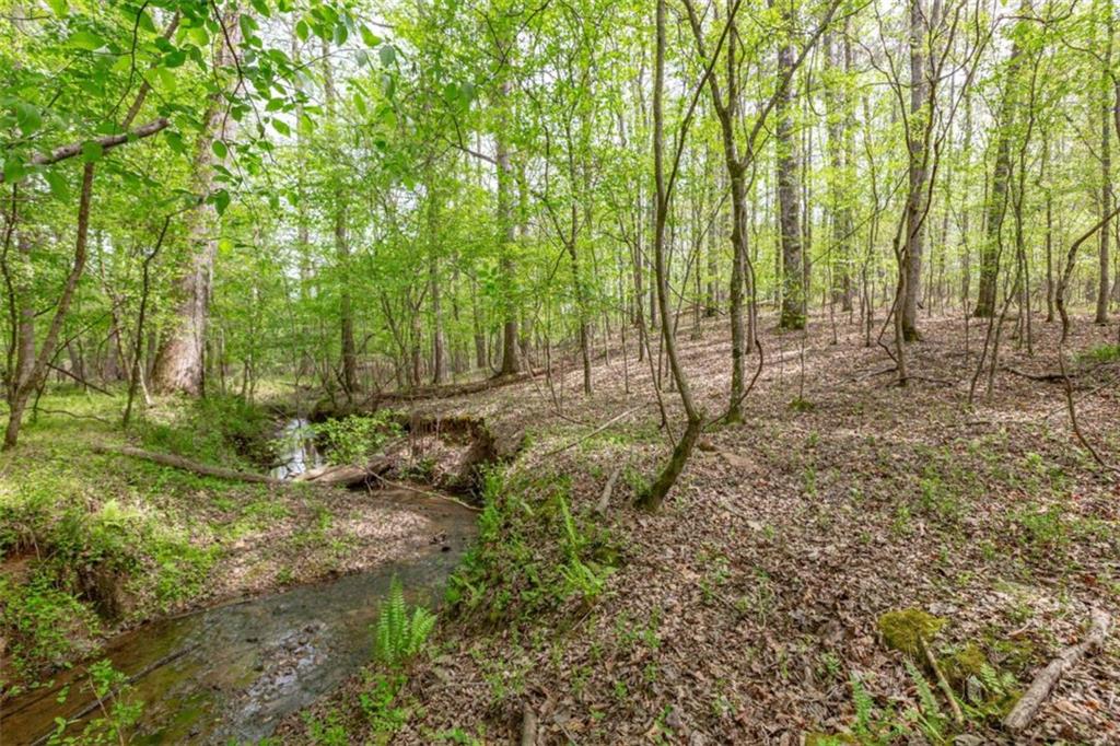 7350 Ono Road Palmetto, GA 30268 - Photo 82 of 91