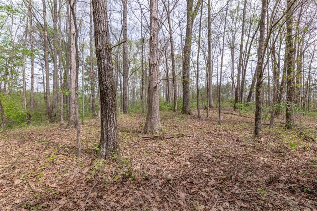 7350 Ono Road Palmetto, GA 30268 - Photo 83 of 91