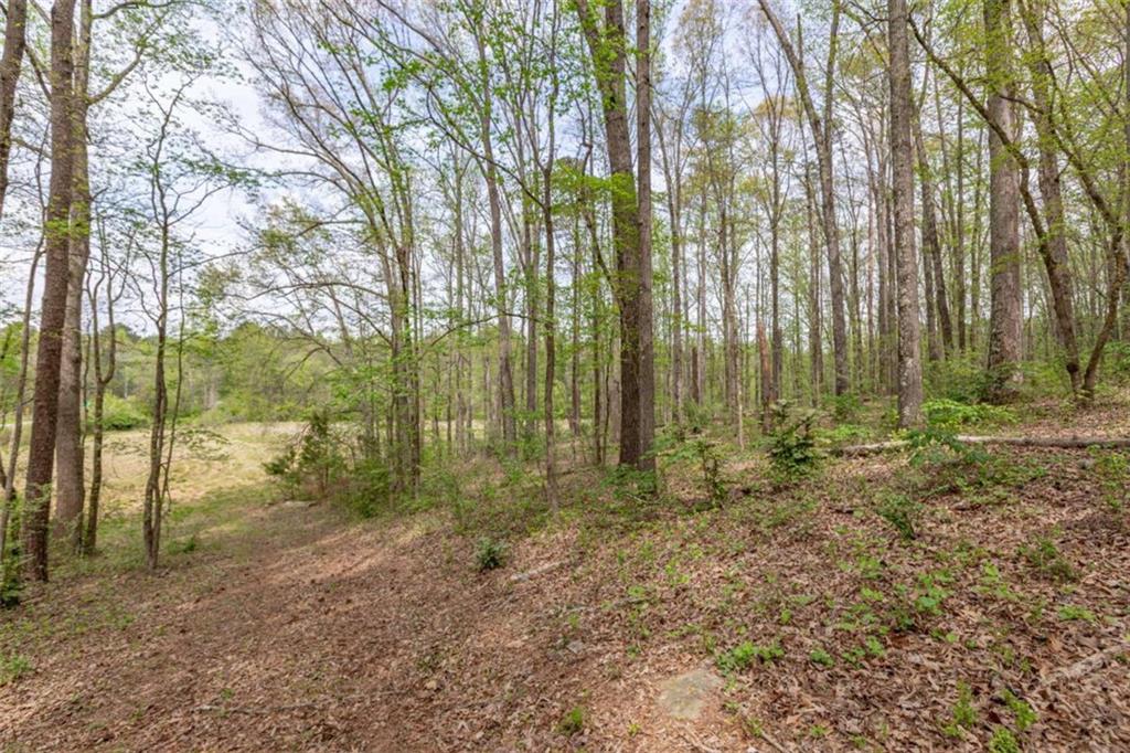 7350 Ono Road Palmetto, GA 30268 - Photo 86 of 91