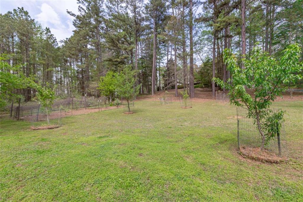 7350 Ono Road Palmetto, GA 30268 - Photo 88 of 91