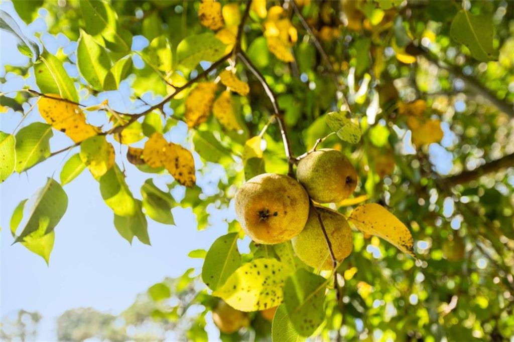 7350 Ono Road Palmetto, GA 30268 - Photo 91 of 91