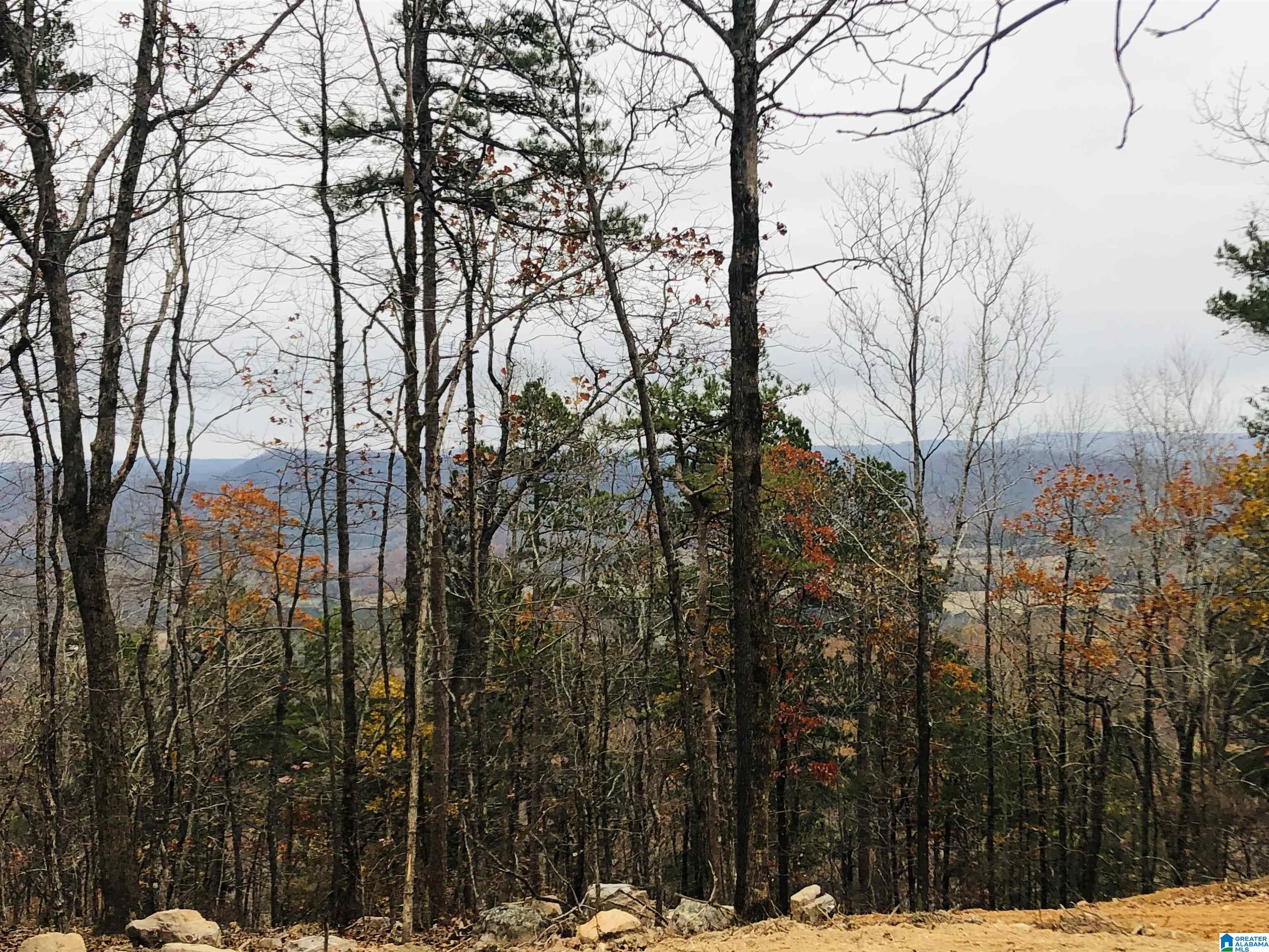 0 Scenic Road Jacksonville, AL 36265 - Photo 2 of 42