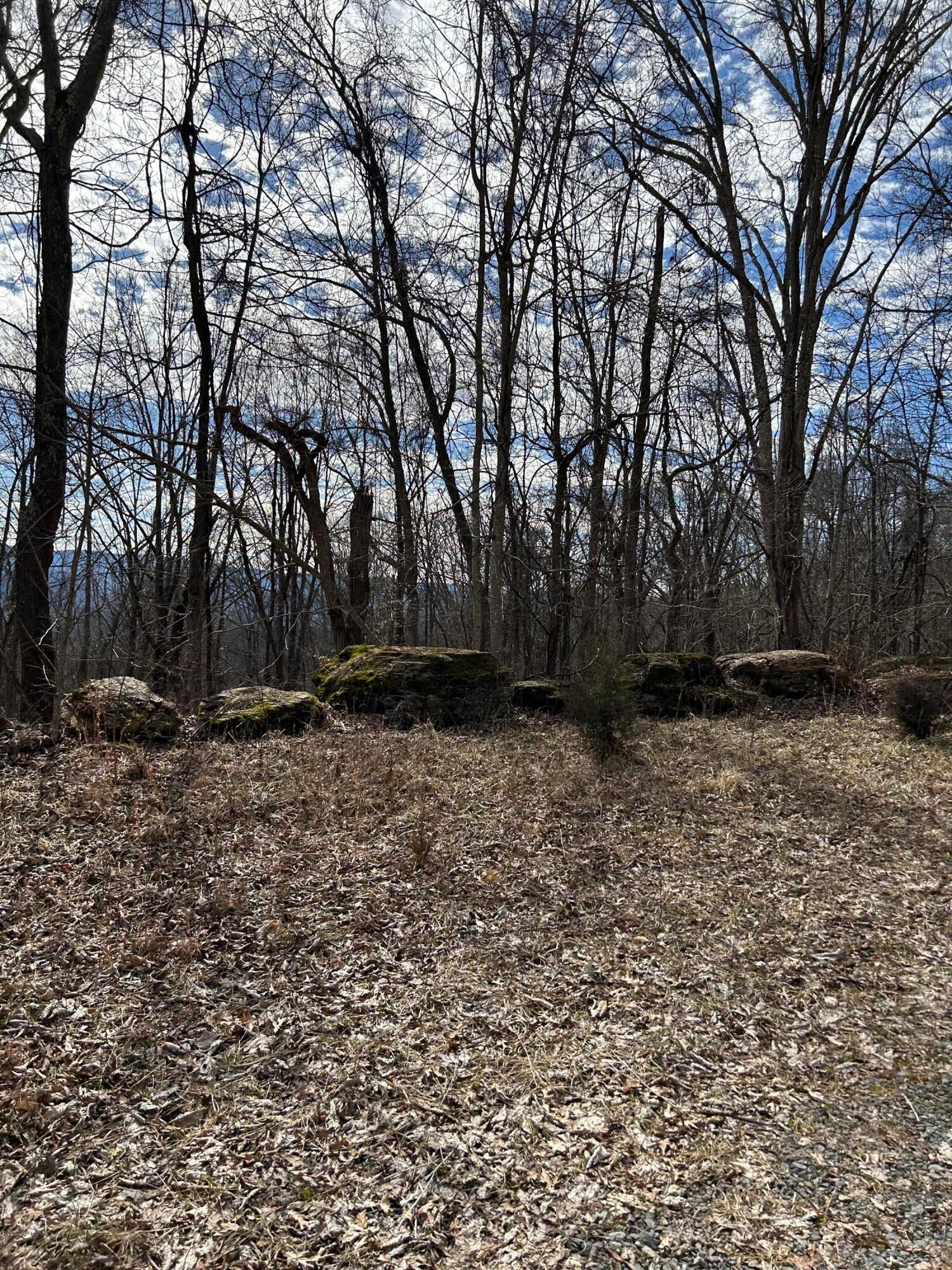 Kountz Rd Union Union, WV 24983 - Photo 28 of 48 Gallery Image 28