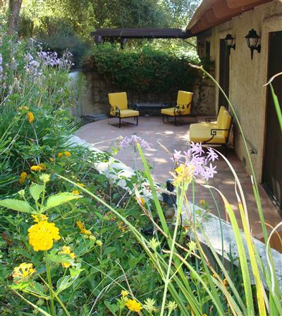 Backyard patio and garden.