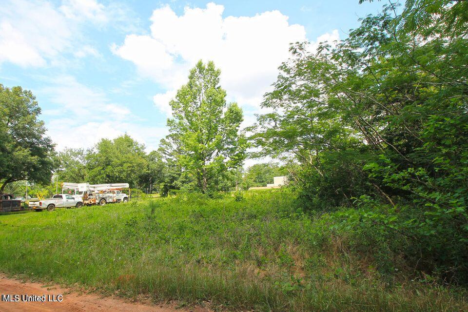 3149 Cooks Corner Road Lucedale, MS 39452 - Photo 1 of 1 20230523222017998627000000-o
