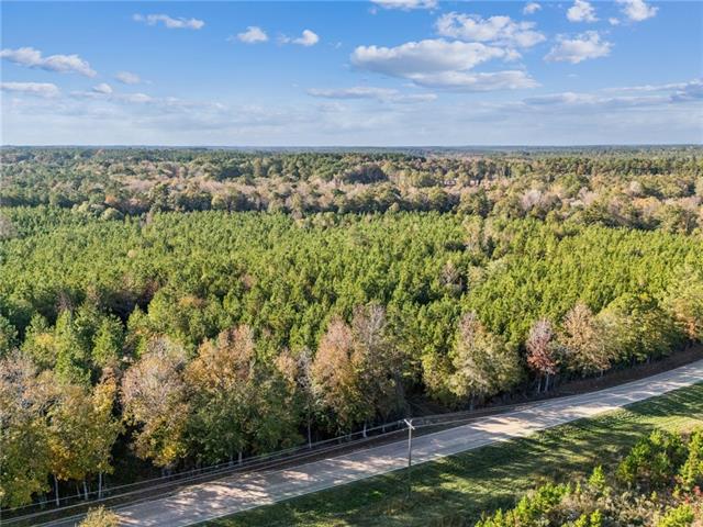 0 Highway 62 Angie, LA 70426 - Photo 1 of 16
