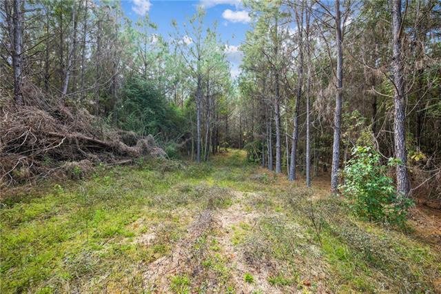 0 Highway 62 Angie, LA 70426 - Photo 4 of 16