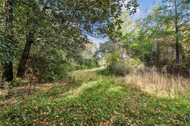 0 Highway 62 Angie, LA 70426 - Photo 9 of 16