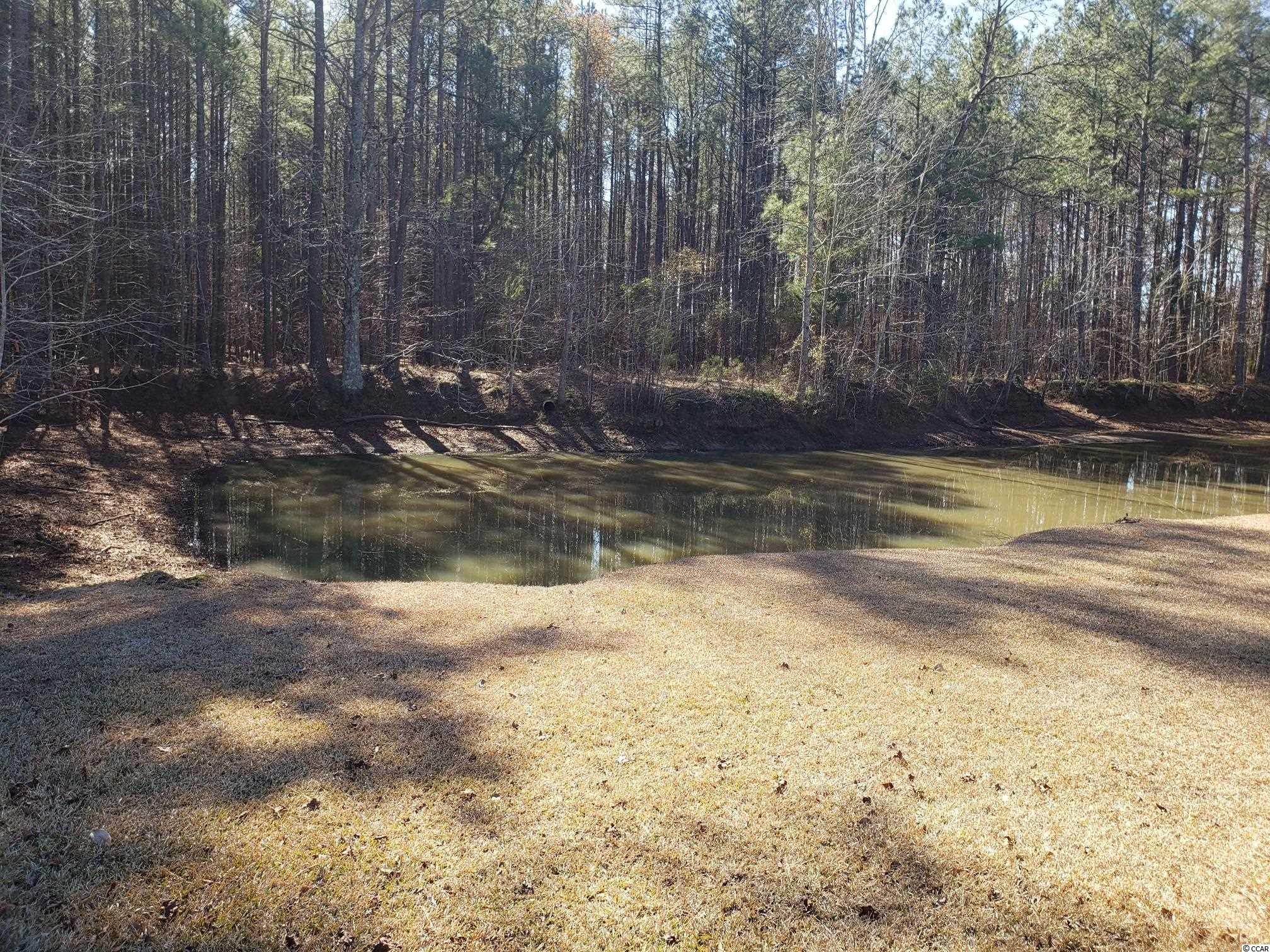 361 West Countryside Road Dillon, SC 29536 - Photo 18 of 27 Gallery Image 18
