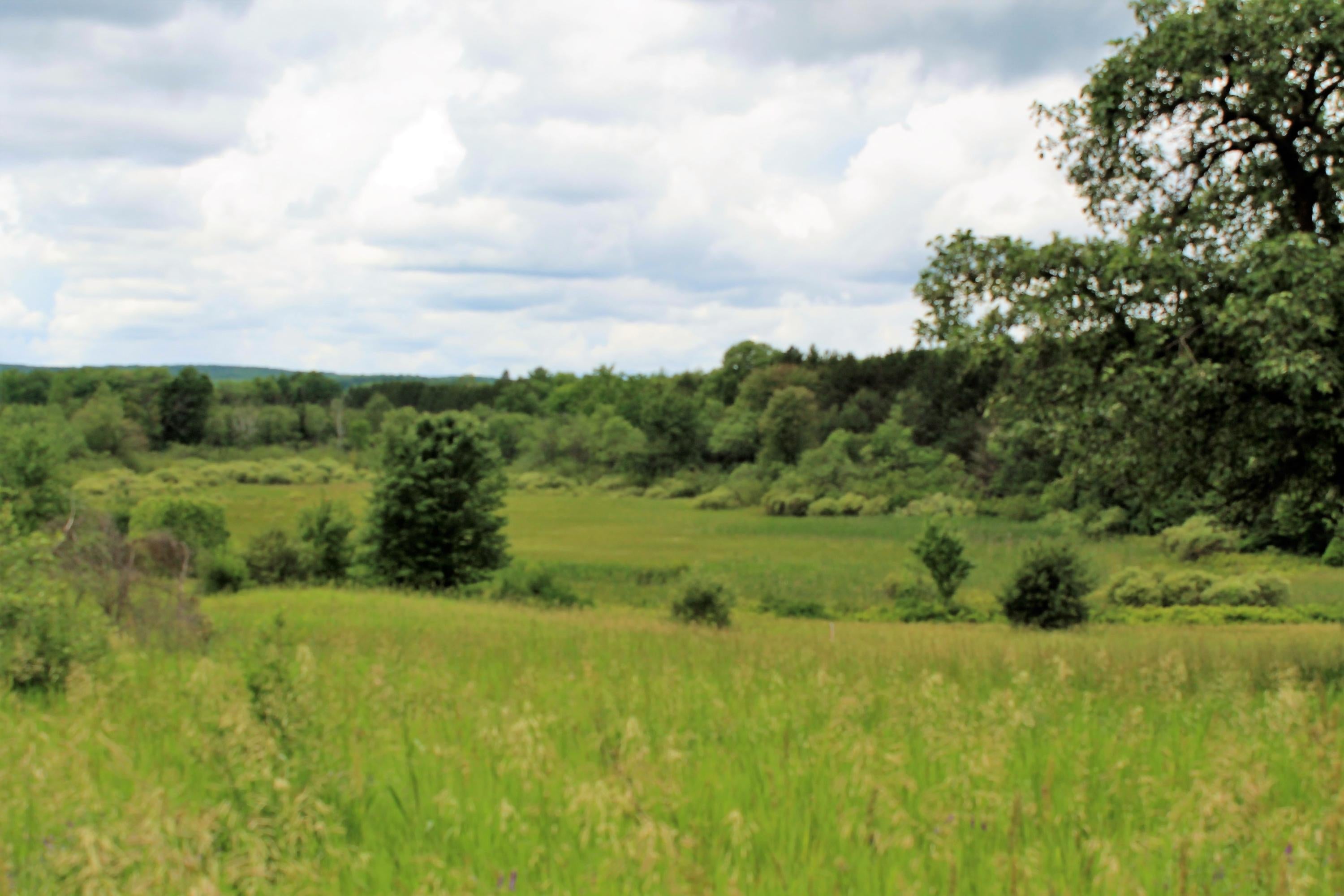 11438 Hossler Road Atlanta, MI 49709 - Photo 69 of 88 Gallery Image 69