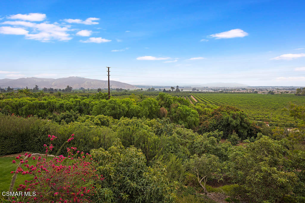 11453 Foothill Road Santa Paula, CA 93060 - Photo 31 of 53 Top of the world views
