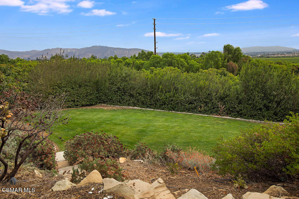 11453 Foothill Road Santa Paula, CA 93060 - Photo 45 of 53 So much privacy
