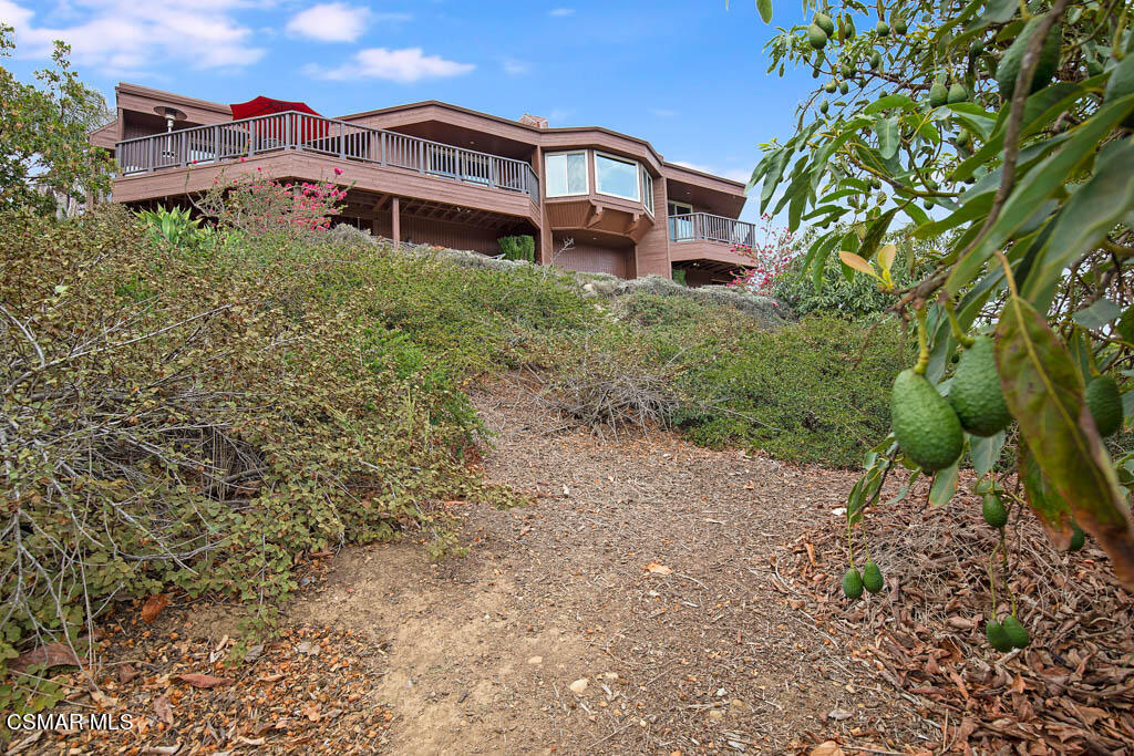 11453 Foothill Road Santa Paula, CA 93060 - Photo 47 of 53 Tons of privacy