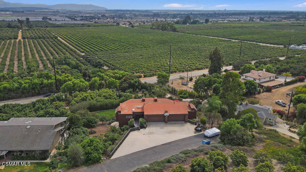 11453 Foothill Road Santa Paula, CA 93060 - Photo 51 of 53 Away from it all