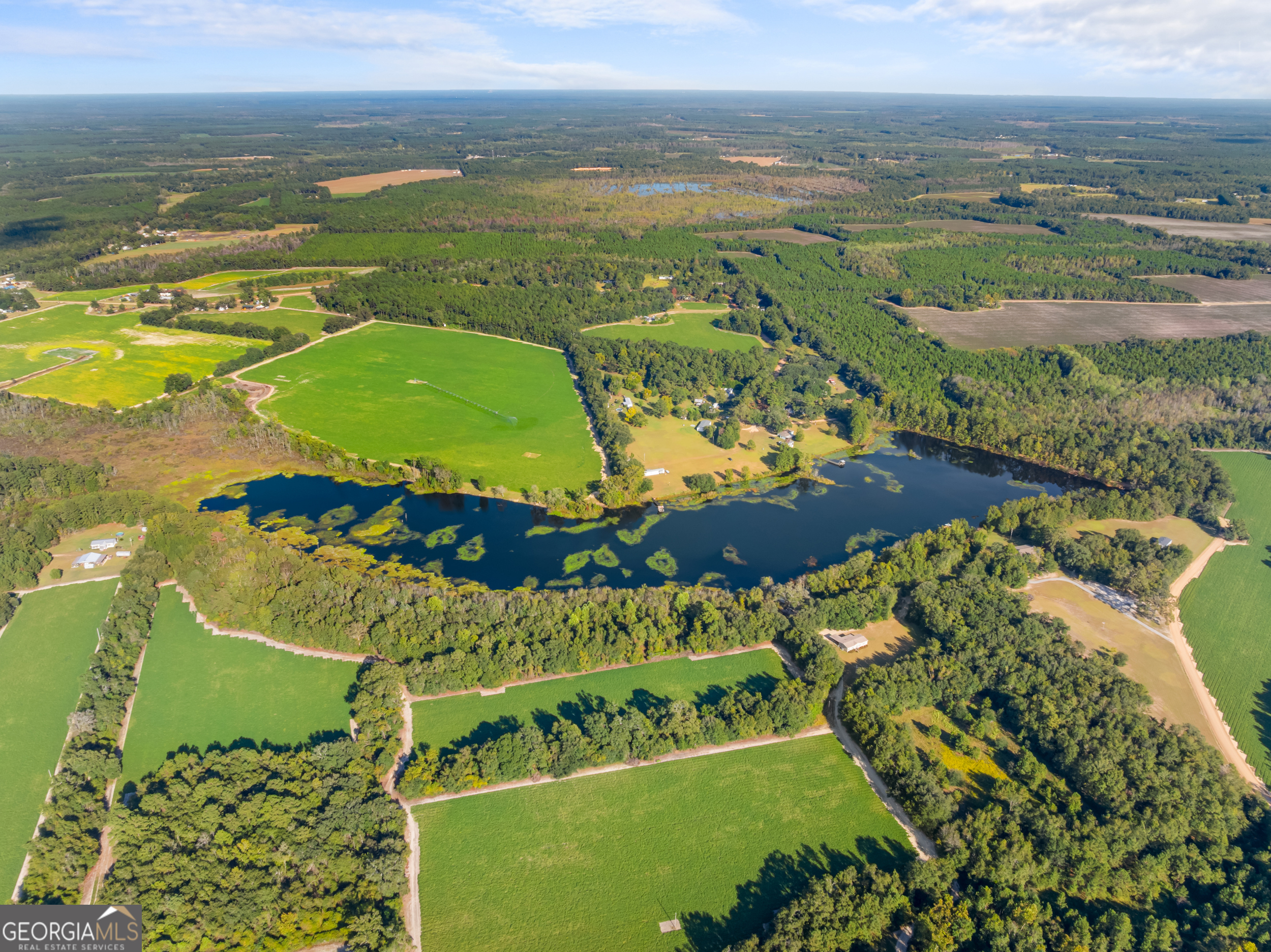 0 McElveen Kendrick Pond Road Brooklet, GA 30415 - Photo 11 of 15