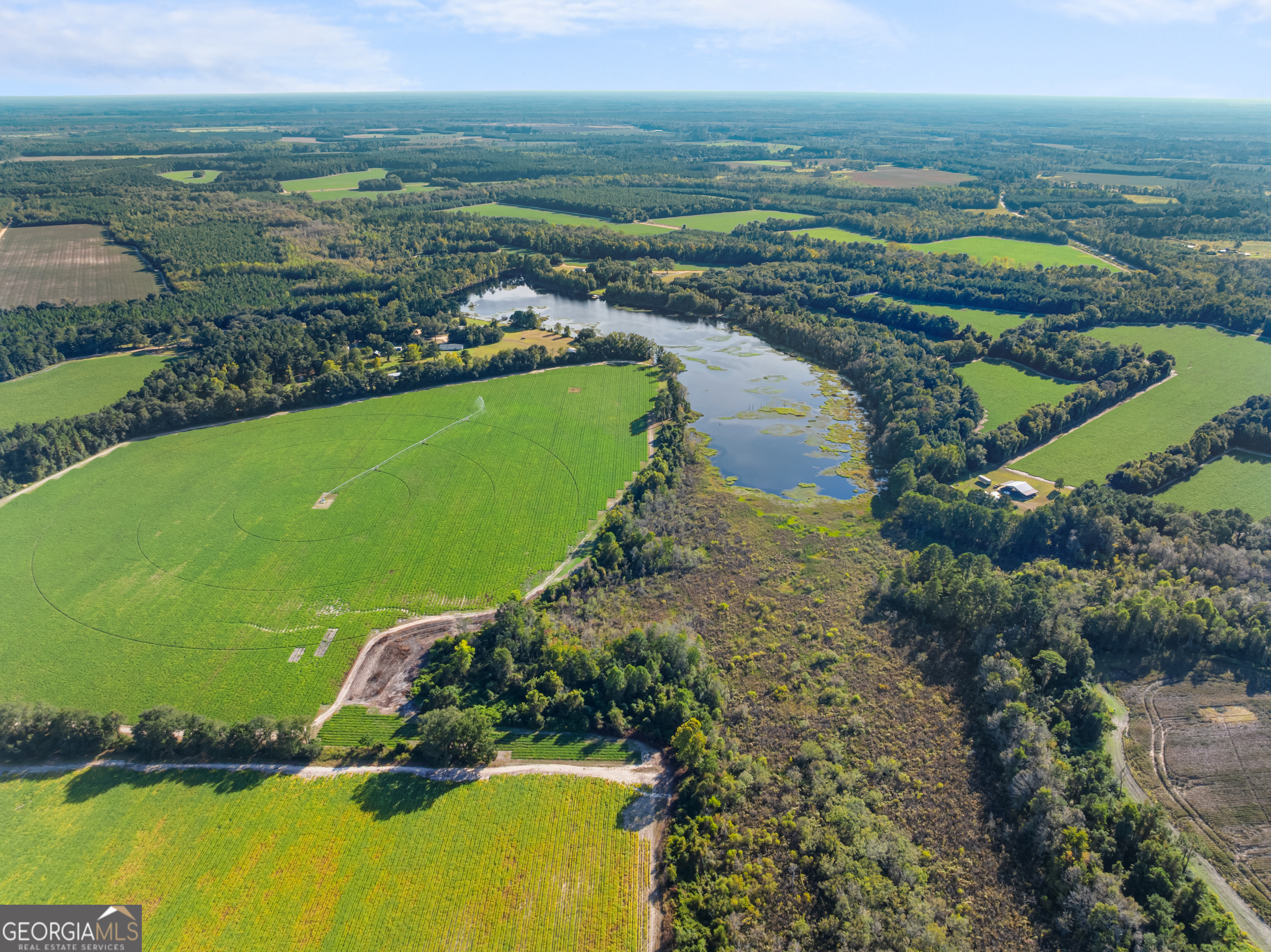0 McElveen Kendrick Pond Road Brooklet, GA 30415 - Photo 13 of 15