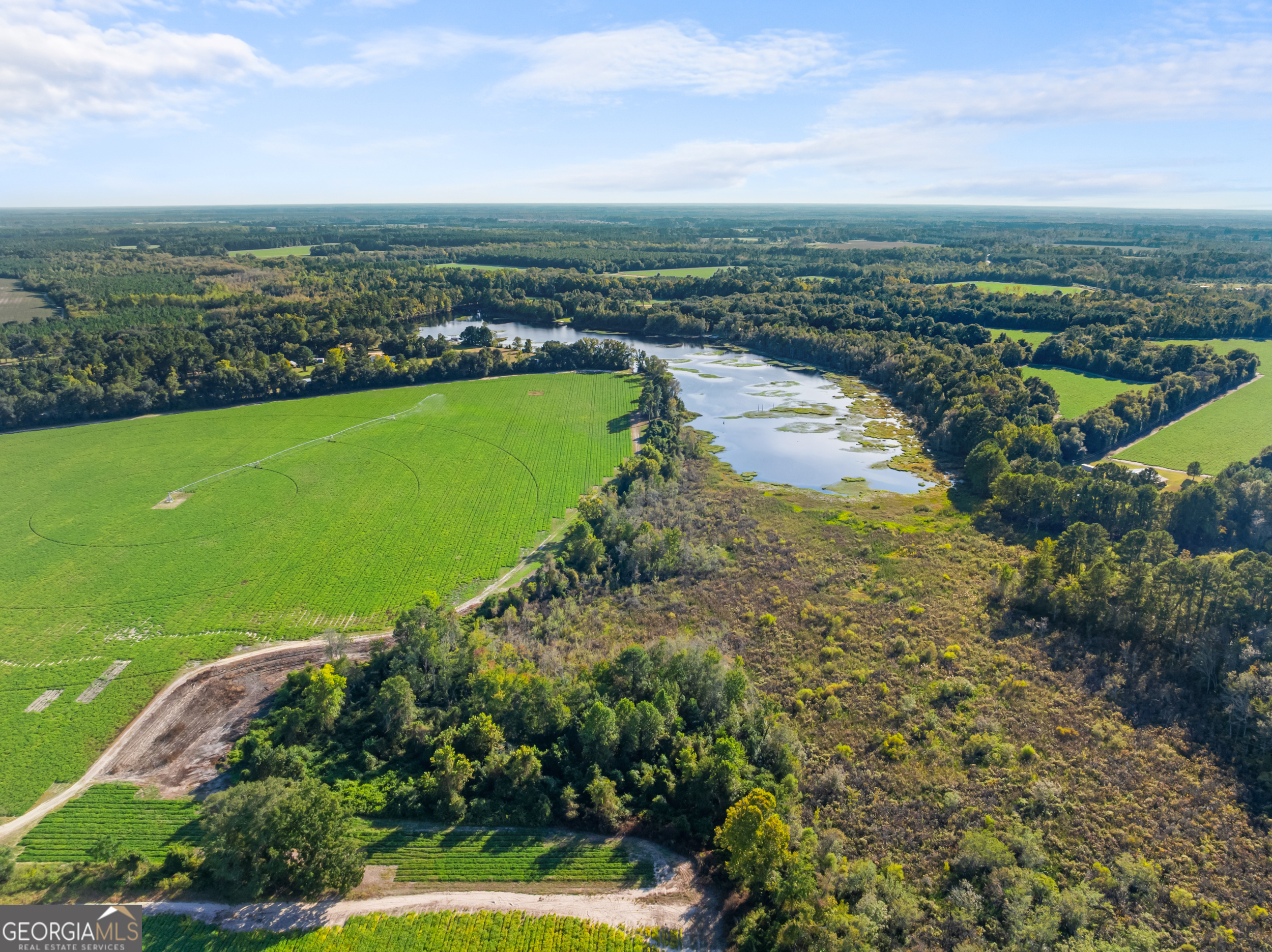 0 McElveen Kendrick Pond Road Brooklet, GA 30415 - Photo 14 of 15
