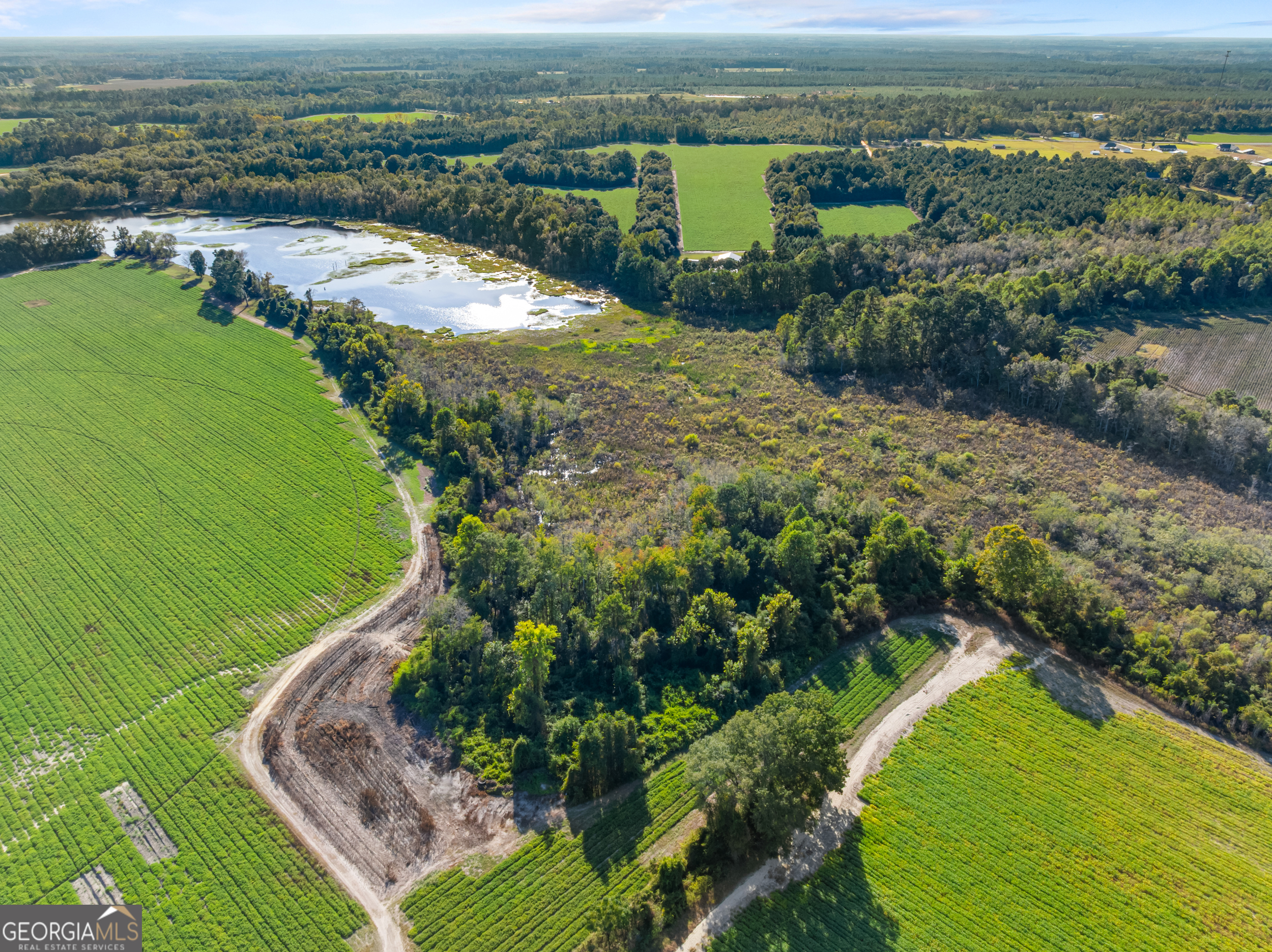 0 McElveen Kendrick Pond Road Brooklet, GA 30415 - Photo 15 of 15