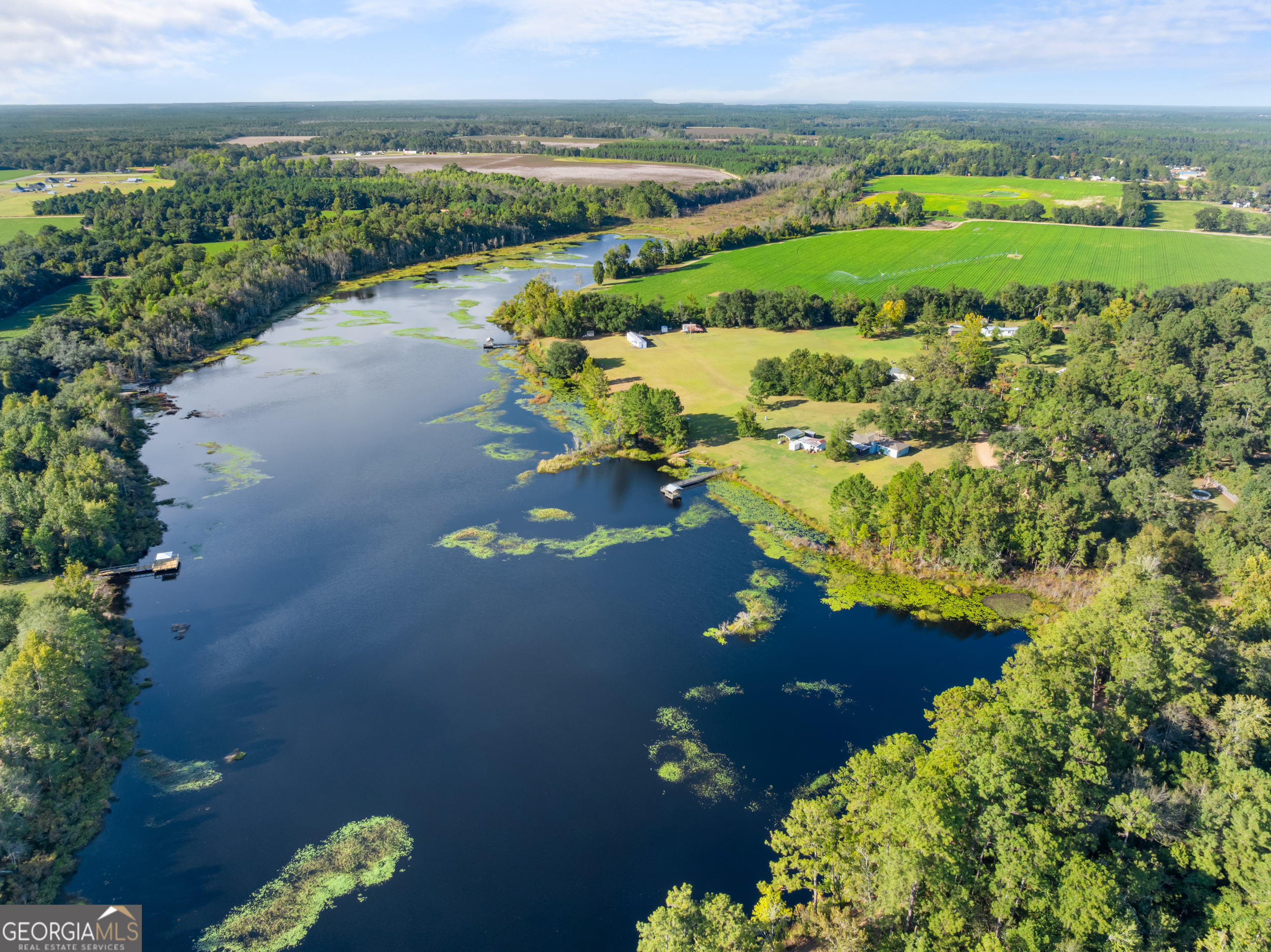 0 McElveen Kendrick Pond Road Brooklet, GA 30415 - Photo 4 of 15