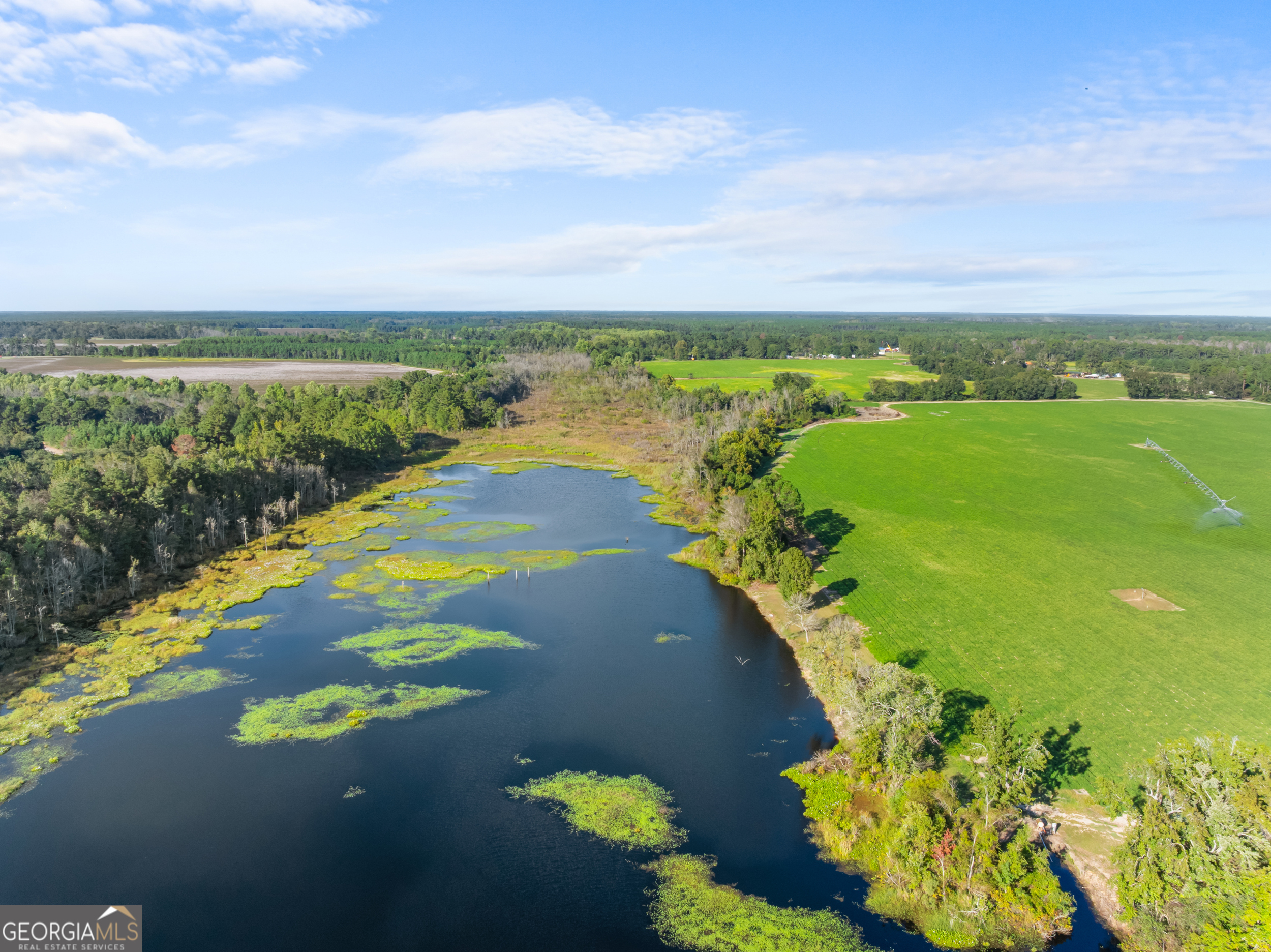 0 McElveen Kendrick Pond Road Brooklet, GA 30415 - Photo 6 of 15
