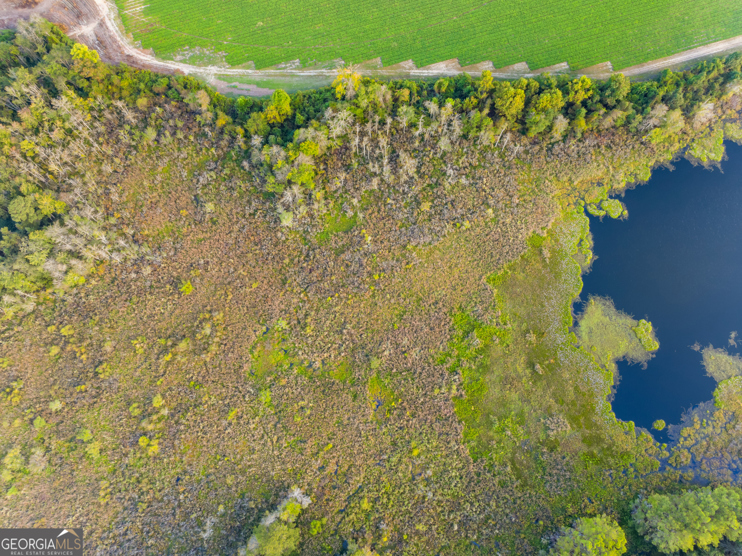 0 McElveen Kendrick Pond Road Brooklet, GA 30415 - Photo 7 of 15